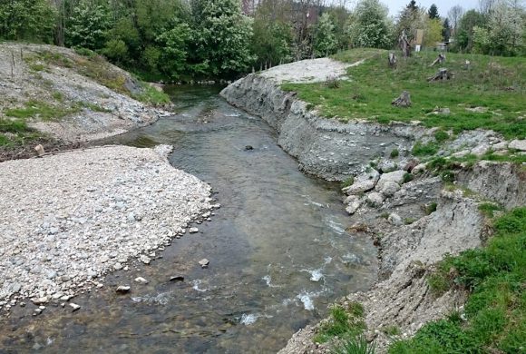 Die Antiesen auf dem Weg zum guten ökologischen Zustand! Die Antiesen auf dem Weg zum guten ökologischen Zustand!